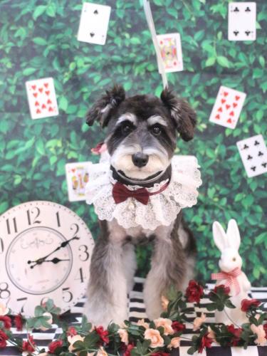 20250411モナちゃん